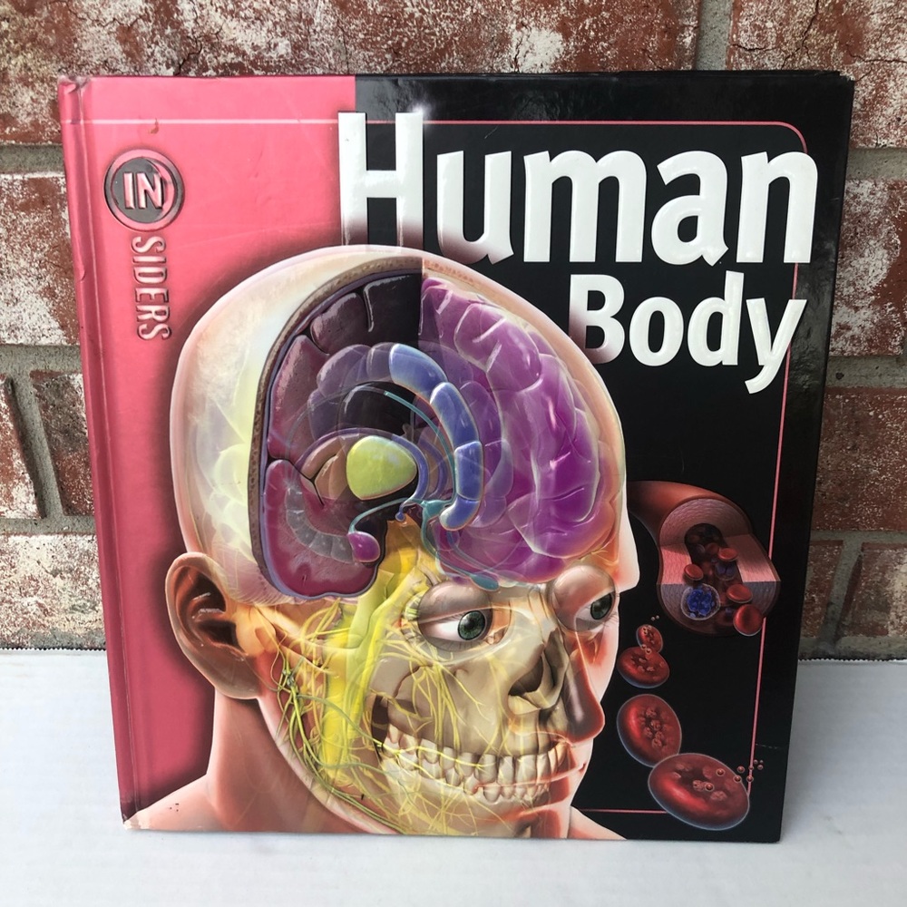 3/$12! InSiders Human Body Linda Calabresi 3D Illustrations HC  9781416938613